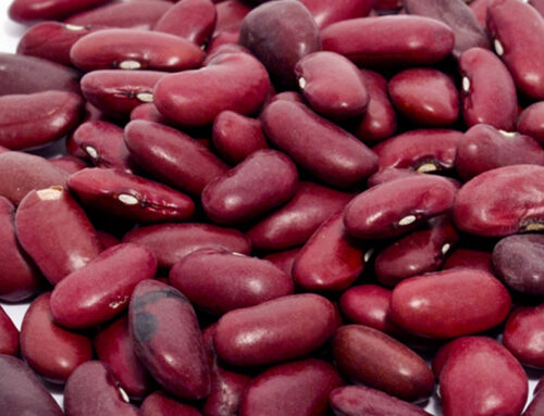 Red Kideny Beans